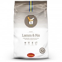 LAMM & RIS
