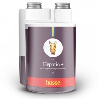 HEPATIC +