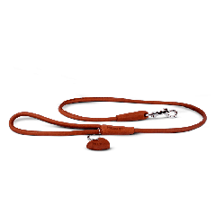 DOG LEASH